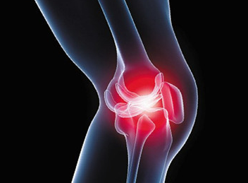 人体最薄弱、要求最高的关节：养护好你的膝盖！